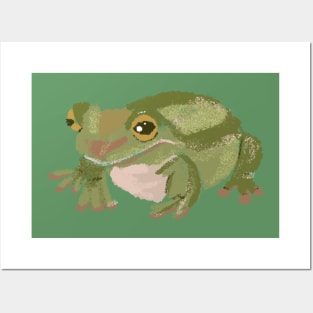 Frog, frog sticker, green frog, toad, frog lover Posters and Art